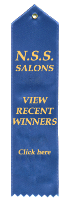 Description: http://www.caves.org/committee/salons/finearts/images/Images%2007/Salon Ribbon.gif